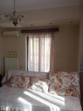Mountain and Lake view apartment